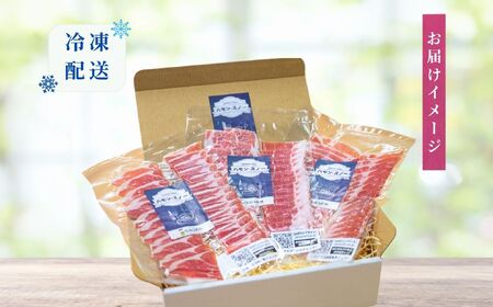 【生ハム】 みゆきポーク 生ハムスライス 120g (40g×3袋) Av-001