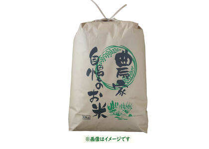 【令和6年産 新米予約】奥信濃飯山～木内ファームのお米～ 5kg (6-47)