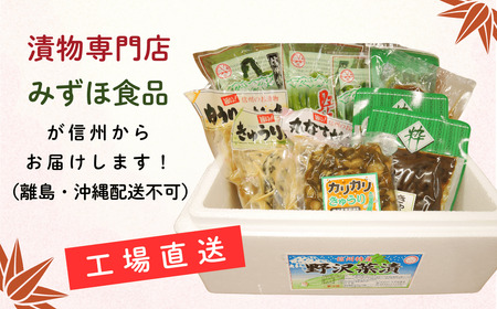 信州の味 野沢菜と漬物セット 9種類 11袋 (Bl-002)