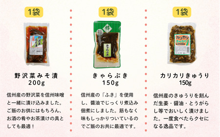 信州の味 野沢菜と漬物セット 9種類 11袋 (Bl-002)