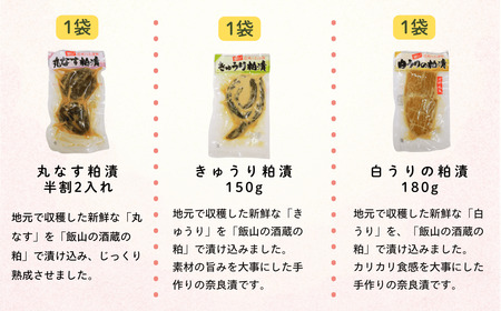 信州の味 野沢菜と漬物セット 9種類 11袋 (Bl-002)