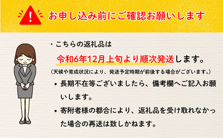 【先行予約】 【訳あり】サンふじ 約5kg（2024年産） (Ab-1)