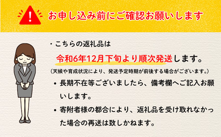 【先行予約】 サンふじ 小玉 約5kg（2024年産 予約） (T-1.3)