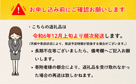 【先行予約】 サンふじ 約10kg（2024年産）(D-2.8)