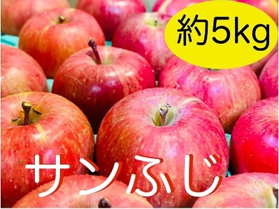 【先行予約】 サンふじ 約5kg（2024年産） (N-1.5)