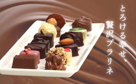 【プラリネ】一粒チョコレート 20個 (Aw-005) チョコレート