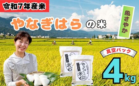 米 【4kg】 令和7年産 風さやか <真空包装> 長野県産【やなぎはらの米】7-70