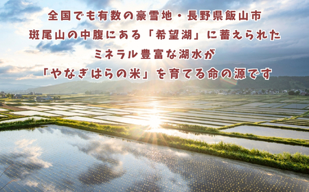米 【4kg】 令和7年産 風さやか <真空包装> 長野県産【やなぎはらの米】7-70