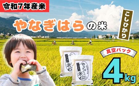 米 【4kg】 令和7年産 コシヒカリ <真空包装> 長野県産【やなぎはらの米】7-67