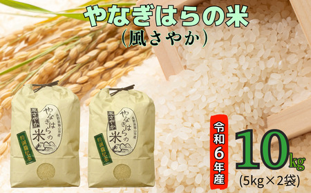 【令和6年産】 「やなぎはらの米　風さやか」10㎏ (6-42A)