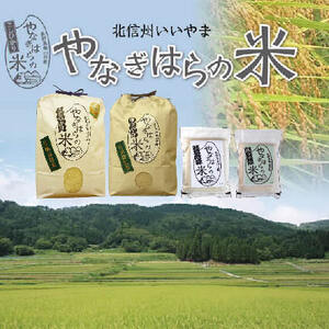 【令和6年産】 「やなぎはらの米　風さやか」10㎏ (6-42A)