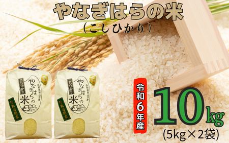 【令和6年産】「やなぎはらの米　こしひかり」10㎏ (6-40A)