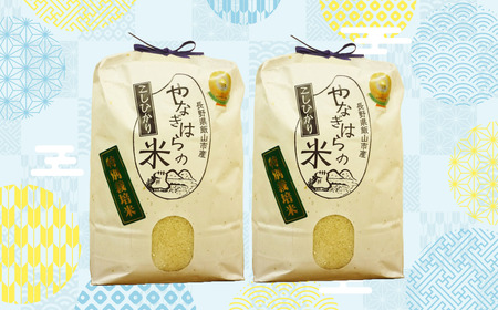 【令和6年産】「やなぎはらの米　こしひかり」10㎏ (6-40A)