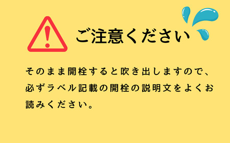 自然の泡に癒される,シュワシュワ 日本酒 ! 北光正宗・純米生 スパークリング (Bk-012)