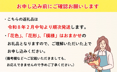 クリスマスローズ 2鉢セット 【2月中旬以降に発送予定】（7-A40-1） 