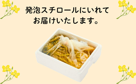 【期間限定】《3kg》「野沢菜 本漬」（Bl-004）