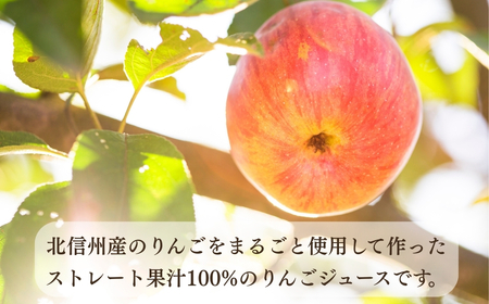 【果汁100%】りんごジュース 1L×2本 （At-001）りんごジュース