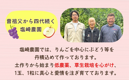 【果汁100%】りんごジュース 1L×2本 （At-001）りんごジュース