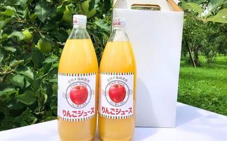 【果汁100%】りんごジュース 1L×2本 （At-001）りんごジュース