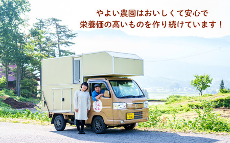 【冷凍】 玄米 おむすび 8個セット （Aq-002） 