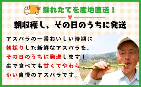 【2026年発送 先行予約】朝採り!露地栽培 アスパラガス L級サイズ 2kg 《 2026年5月発送 》(Bu-002) 