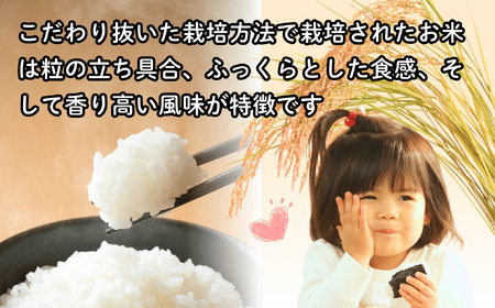 【先行予約】[令和７年産新米] 牛宿農園 信州飯山産・コシヒカリ 精米 30㎏ (7-29)