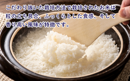 【令和7年産 新米】 牛宿農園 信州飯山産・コシヒカリ 精米 5㎏ (7-27A) お米 コメ 白米 ご飯 長野県 信州 飯山市 新米 令和7年 こしひかり 産地直送 農家直送
