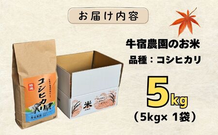 【令和7年産 新米】 牛宿農園 信州飯山産・コシヒカリ 精米 5㎏ (7-27A) お米 コメ 白米 ご飯 長野県 信州 飯山市 新米 令和7年 こしひかり 産地直送 農家直送