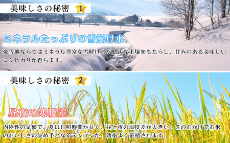 【先行予約】 【定期便】 [ 令和７年産 新米 ]  奥信濃飯山～木内ファームのお米～ コシヒカリ 精米 10kg×6回 (7-17A) 長野県 飯山市 おすすめ ランキング おいしい 高評価 大人気 こしひかり こしひかり こしひかり こしひかり こしひかり こしひかり