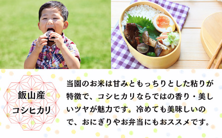【先行予約】 【定期便】 [ 令和７年産 新米 ]  奥信濃飯山～木内ファームのお米～ コシヒカリ 精米 10kg×6回 (7-17A) 長野県 飯山市 おすすめ ランキング おいしい 高評価 大人気 こしひかり こしひかり こしひかり こしひかり こしひかり こしひかり