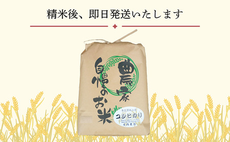 【先行予約】 【定期便】 [ 令和７年産 新米 ]  奥信濃飯山～木内ファームのお米～ コシヒカリ 精米 10kg×6回 (7-17A) 長野県 飯山市 おすすめ ランキング おいしい 高評価 大人気 こしひかり こしひかり こしひかり こしひかり こしひかり こしひかり