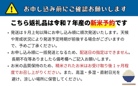 【先行予約】 [令和７年産] 奥信濃飯山～木内ファームのお米～ つきあかり 精米 5㎏ (7-12A) 長野県 飯山市 おすすめ ランキング おいしい 高評価 大人気 つきあかり つきあかり つきあかり つきあかり つきあかり