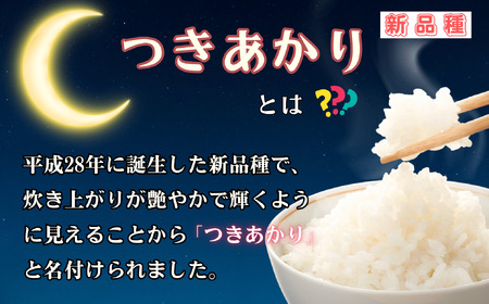 【先行予約】 [令和７年産] 奥信濃飯山～木内ファームのお米～ つきあかり 精米 5㎏ (7-12A) 長野県 飯山市 おすすめ ランキング おいしい 高評価 大人気 つきあかり つきあかり つきあかり つきあかり つきあかり