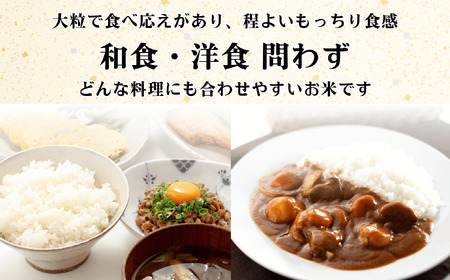 【先行予約】 [令和７年産] 奥信濃飯山～木内ファームのお米～ つきあかり 精米 5㎏ (7-12A) 長野県 飯山市 おすすめ ランキング おいしい 高評価 大人気 つきあかり つきあかり つきあかり つきあかり つきあかり