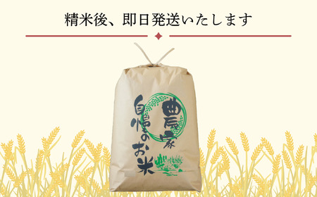 【先行予約】 [令和７年産] 奥信濃飯山～木内ファームのお米～ つきあかり 精米 5㎏ (7-12A) 長野県 飯山市 おすすめ ランキング おいしい 高評価 大人気 つきあかり つきあかり つきあかり つきあかり つきあかり