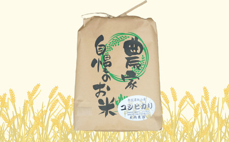 【先行予約】 [令和７年産] 奥信濃飯山 ～木内ファームのお米～ コシヒカリ 玄米 5㎏ (7-10A) 長野県 飯山市 おすすめ ランキング おいしい 高評価 大人気 こしひかり こしひかり こしひかり こしひかり こしひかり こしひかり