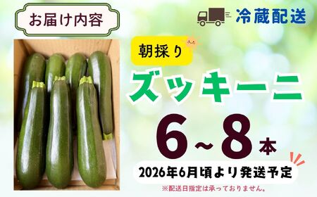 【生産者直送！】朝採り!! 新鮮ズッキーニ 約6～8本 《出荷時期：2026年6月中旬頃〜》岸田農園 (Cd-001)