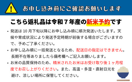 【先行予約】 [令和７年産 新米] 長野県産 もち米 こがねもち 『奥信濃の棚田米 実の里 5kg』 (7-24A) 長野県 飯山市 おすすめ ランキング おいしい 高評価 大人気 こがねもち こがねもち こがねもち こがねもち こがねもち
