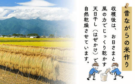 【先行予約】 [令和７年産 新米] 長野県産 もち米 こがねもち 『奥信濃の棚田米 実の里 5kg』 (7-24A) 長野県 飯山市 おすすめ ランキング おいしい 高評価 大人気 こがねもち こがねもち こがねもち こがねもち こがねもち