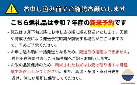 【先行予約】 [ 令和７年産 新米 ] 特別栽培米 『奥信濃の棚田米 実の里』 こしひかり 精米 5㎏ (7-19A) 長野県 飯山市 おすすめ ランキング おいしい 高評価 大人気 こしひかり こしひかり こしひかり こしひかり こしひかり こしひかり