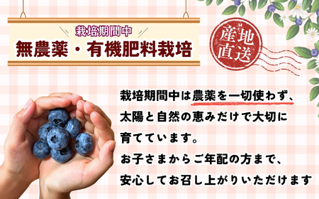 ブルーベリー １kg 【2026年7月より発送 先行予約】 Br-002