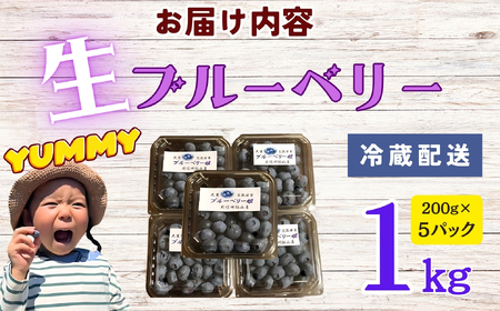 ブルーベリー １kg 【2026年7月より発送 先行予約】 Br-002