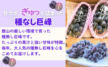 巨峰〈種なし〉 約1kg（2房）【2026年9月上旬より発送 先行予約】At-005
