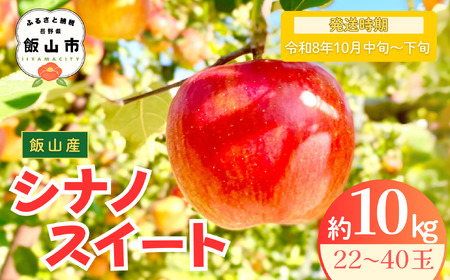 【シナノスイート】りんご 約10kg（22～40玉）2026年10月中旬より発送 先行予約 | リンゴ At-013