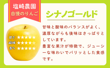 りんご シナノゴールド 約3kg(6~12玉)2026年10月下旬より発送先行予約 | リンゴ At-014