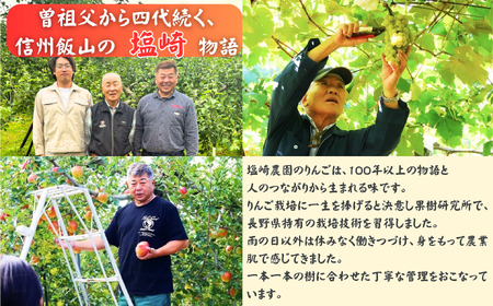 りんご シナノゴールド 約10kg（22～40玉）【2026年10月下旬より発送 先行予約】At-016