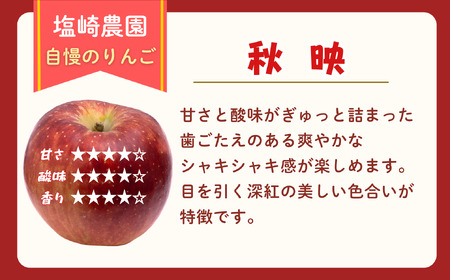 【訳あり】りんご 秋映 約3kg（6～14玉）2026年10月上旬より発送_先行予約 | リンゴ At-017