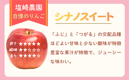 【訳あり】りんご シナノスイート 約3kg(6~14玉)2026年10月中旬より発送 先行予約 | リンゴ At-020