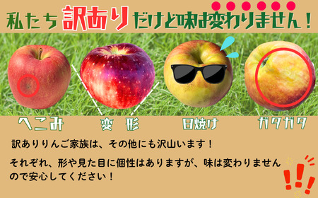 【訳あり】りんご シナノスイート 約3kg(6~14玉)2026年10月中旬より発送 先行予約 | リンゴ At-020
