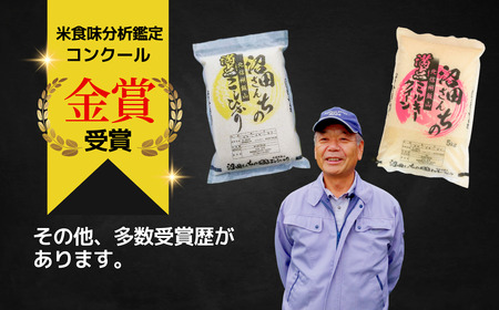 <令和7年産 新米> 沼田さんちの満点 にじのきらめき 10kg (5kg×2袋) 特別栽培米 (7-62A) 長野県 飯山市 おすすめ ランキング おいしい 高評価 大人気 ギフト こしひかり 米 お米